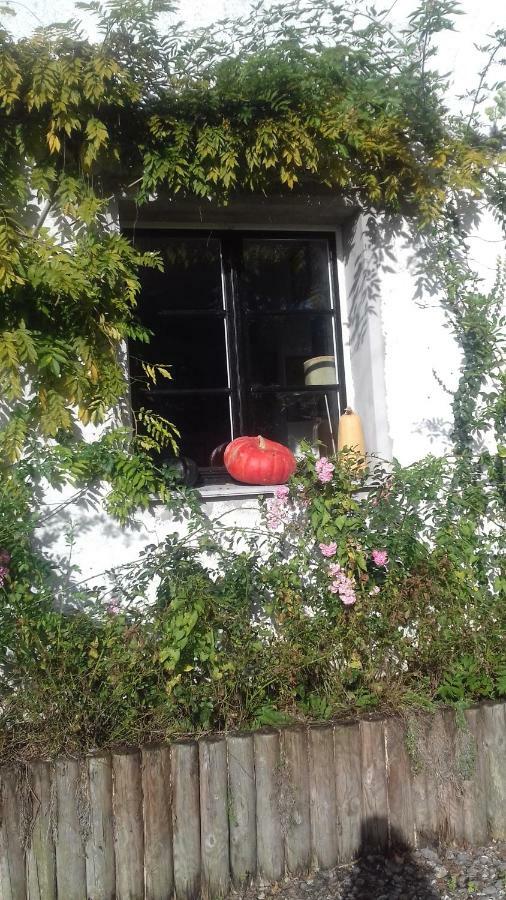 La Colline Des Roses Bed & Breakfast Conchil-le-Temple Bagian luar foto