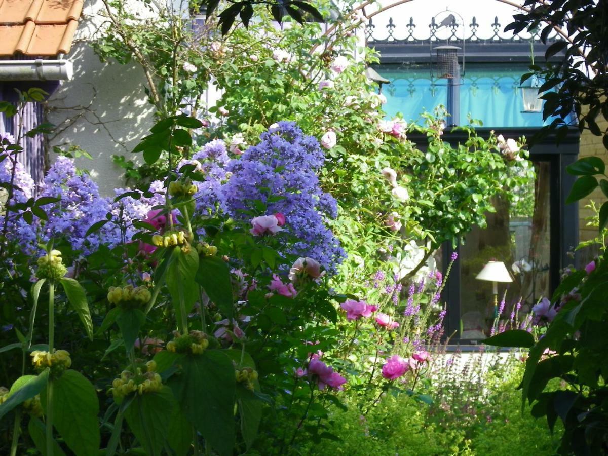 La Colline Des Roses Bed & Breakfast Conchil-le-Temple Bagian luar foto