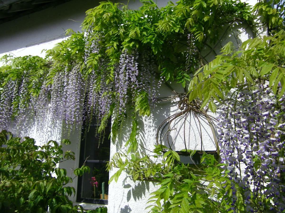 La Colline Des Roses Bed & Breakfast Conchil-le-Temple Bagian luar foto